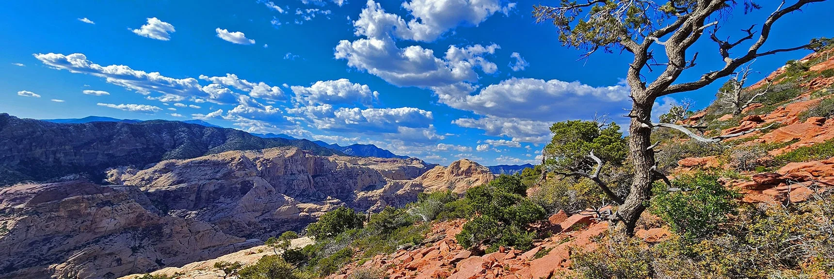Further Along Saddle. View Back Toward Bridge Mt. | Rainbow Mt via Pine Creek & Oak Creek Canyons, Nevada