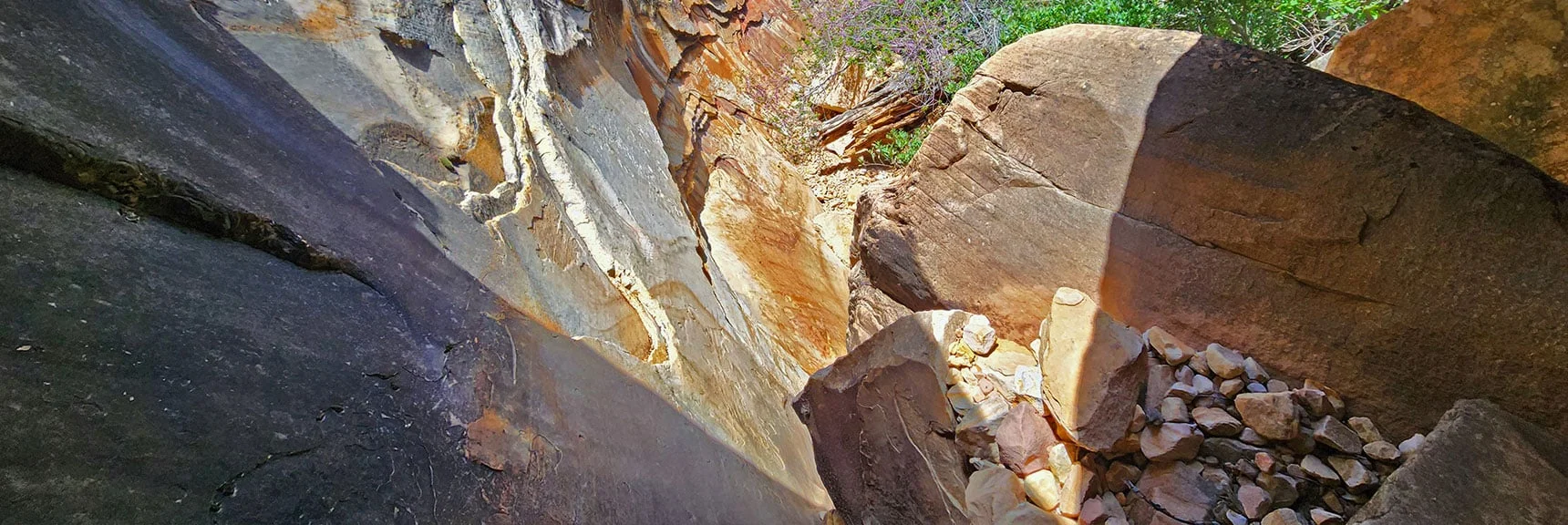 I Found a Brush-Choked Boulder Bypass Route to Reach the Ledge Above | Rainbow Mt via Pine Creek & Oak Creek Canyons, Nevada