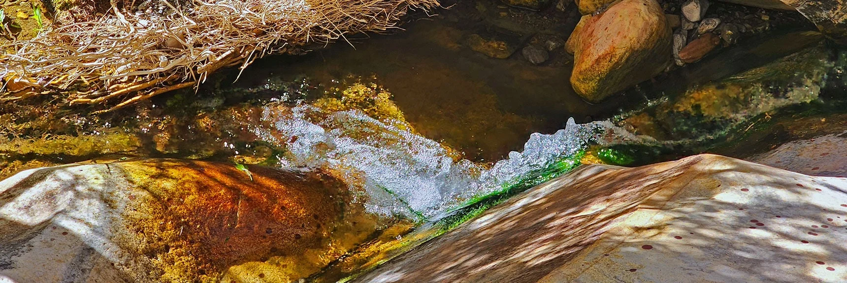 Continue Along Singing, Cascading Creek. | Rainbow Mt via Pine Creek & Oak Creek Canyons, Nevada
