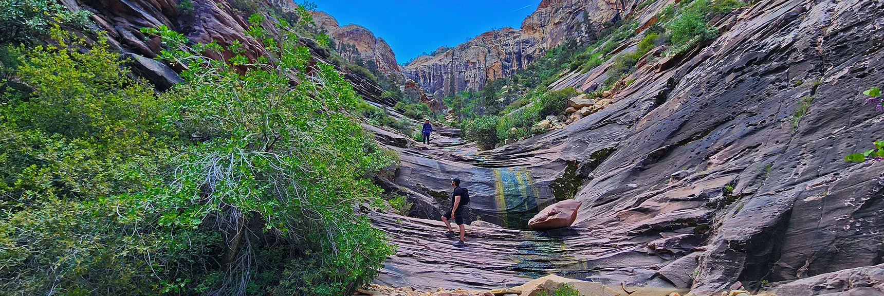 The Ascent is Surprisingly Steep, So If You're Tired, There's a Reason! | Rainbow Mt via Pine Creek & Oak Creek Canyons, Nevada
