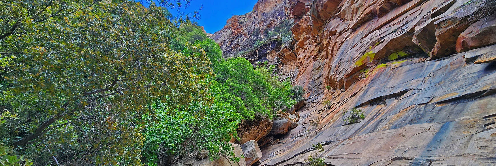 Circling to the Left Above Terrace Canyon, it's a Challenge to Keep Your Footing | Rainbow Mt via Pine Creek & Oak Creek Canyons, Nevada