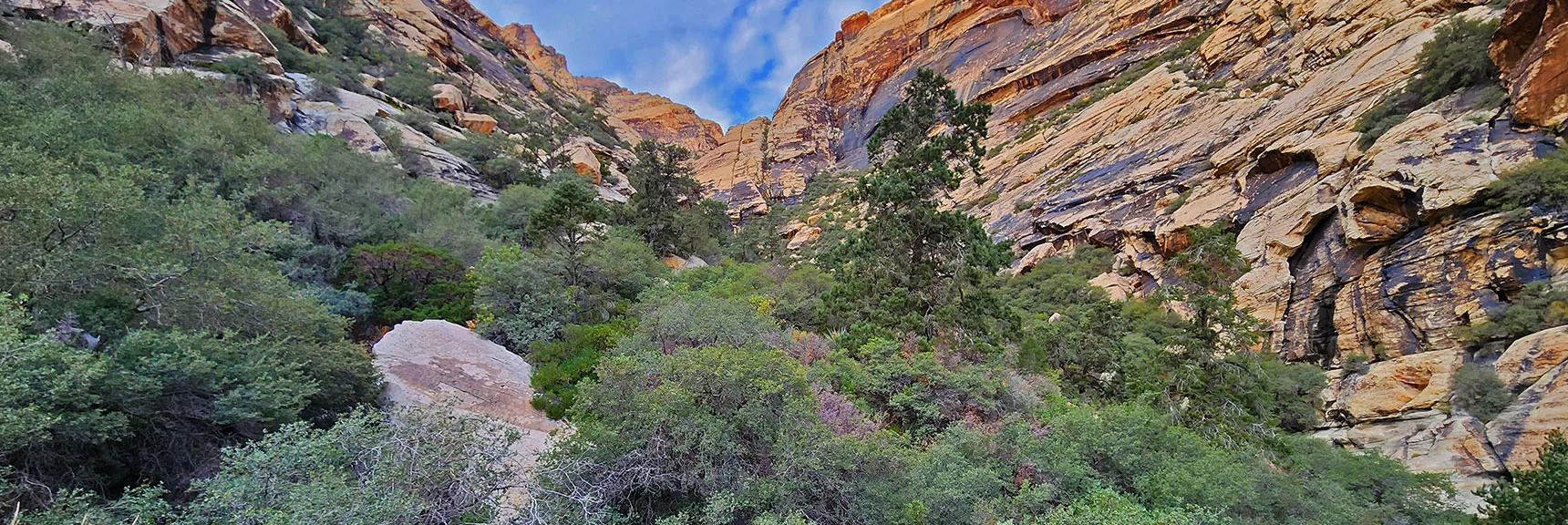 Final Look Back Up the Complicated, But Fun, Oak Creek Canyon. | Rainbow Mt via Pine Creek & Oak Creek Canyons, Nevada