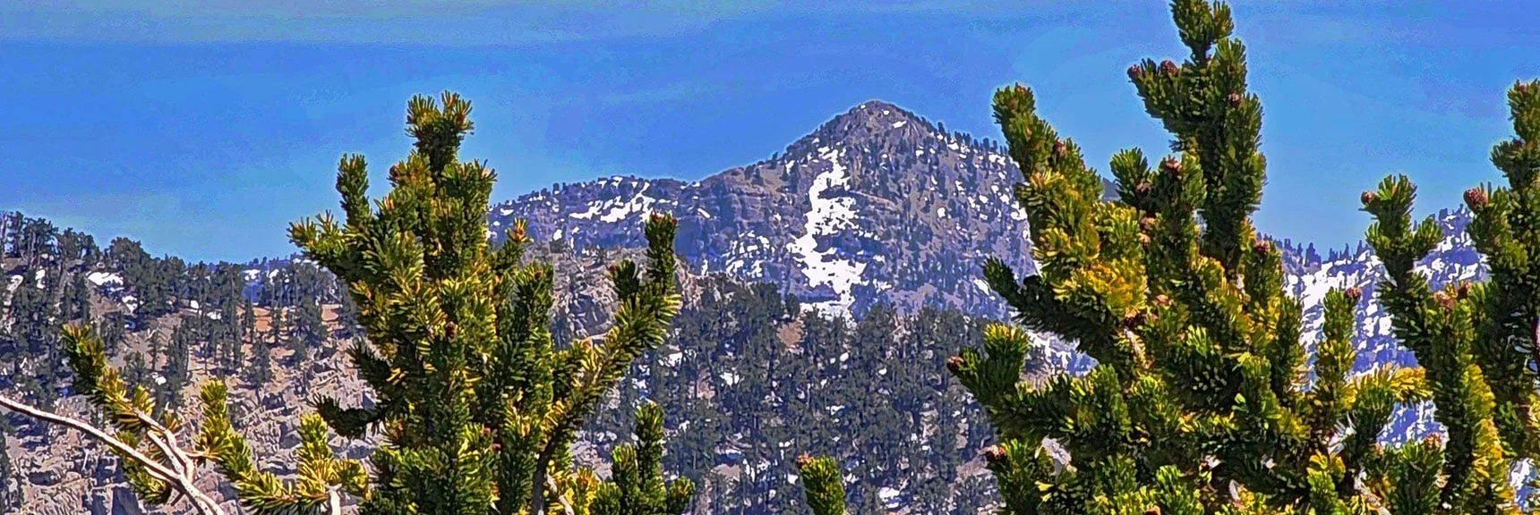 Distant Lee Peak Enlarged | Bonanza Peak from Cold Creek | Mt. Charleston Wilderness | Spring Mountains, Nevada