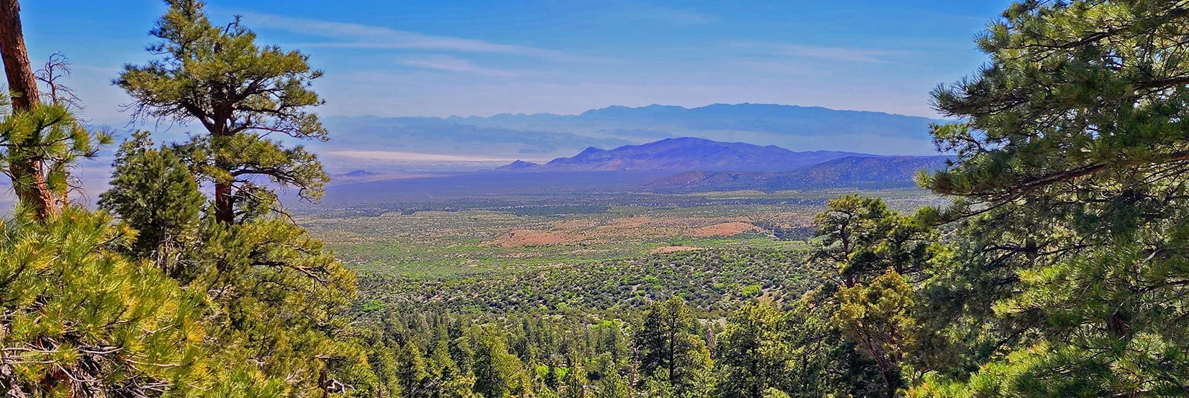 View East to Sheep Peak from About a Half-Mile Up the Trail | Bonanza Peak from Cold Creek | Mt. Charleston Wilderness | Spring Mountains, Nevada
