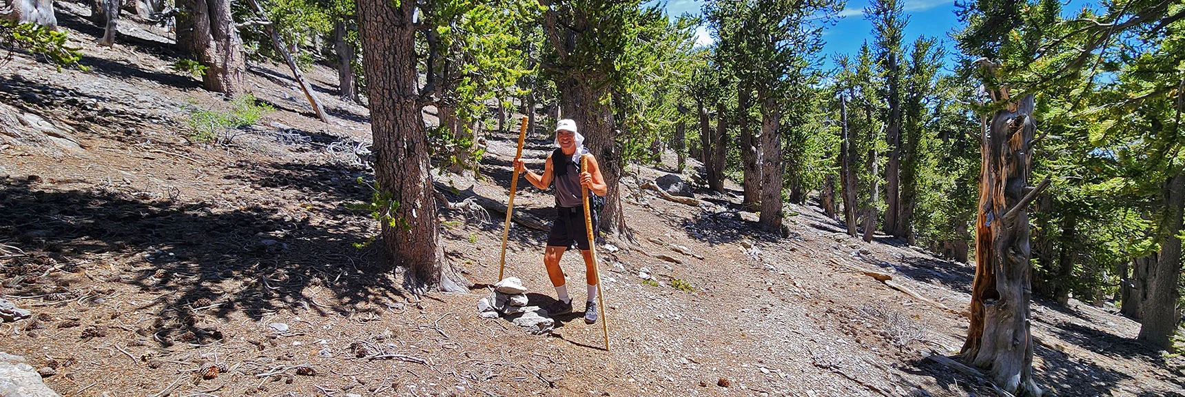 Cairn Marks Point to Leave Main Trail for Final Summit Ascent. | Bonanza Peak from Cold Creek | Mt. Charleston Wilderness | Spring Mountains, Nevada