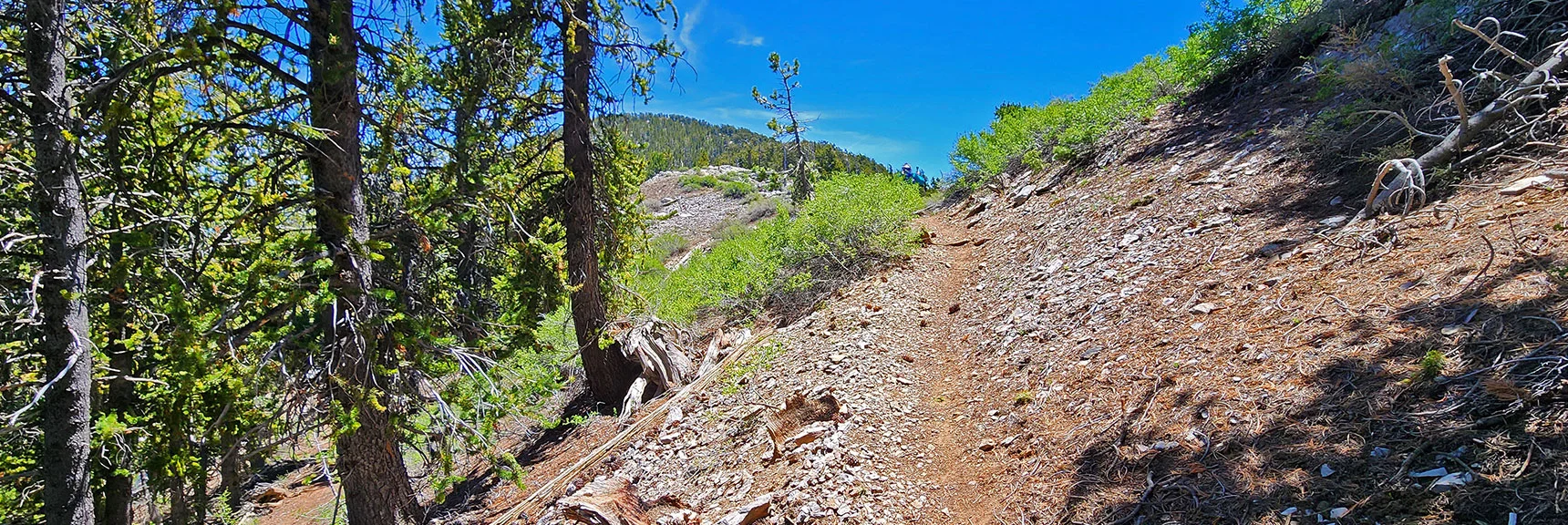 Arrival at the Upper Ridgeline. Bonanza Peak Ahead. | Bonanza Peak from Cold Creek | Mt. Charleston Wilderness | Spring Mountains, Nevada