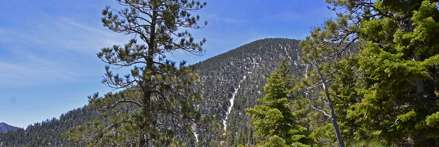 Shortest Distance by Trail to Bonanza Peak | Bonanza Peak from Cold Creek | Mt. Charleston Wilderness, Nevada