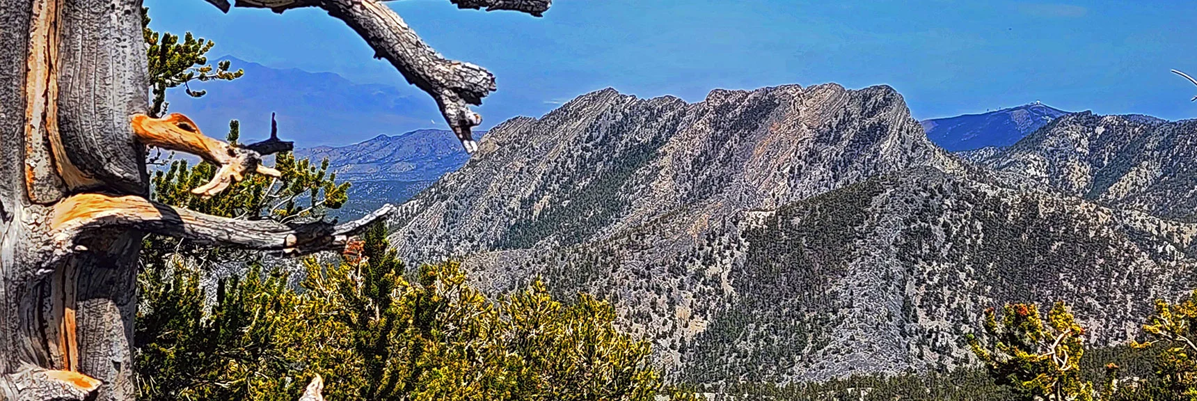 McFarland Peak. Angel Peak in Background to Right | Bonanza Peak from Cold Creek | Mt. Charleston Wilderness | Spring Mountains, Nevada