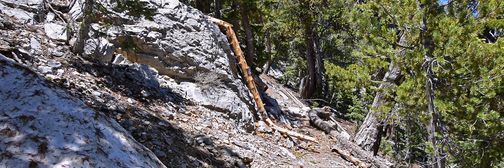 Skirt Limestone Formations on the Way to the Summit. | Bonanza Peak from Cold Creek | Mt. Charleston Wilderness | Spring Mountains, Nevada
