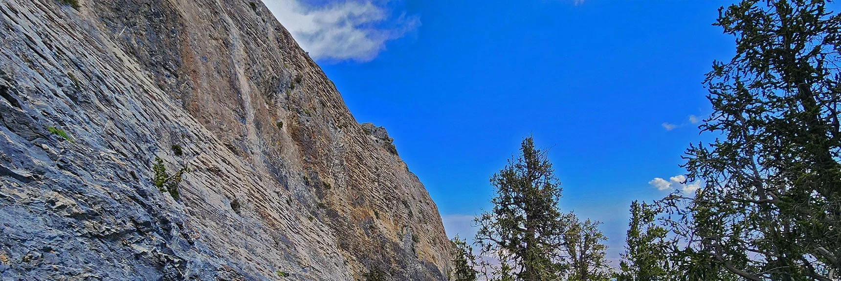 Amazed to Find an Access Gully Through These Massive Vertical Cliffs. | Mummy Mountain’s Nose from Deer Creek Rd | Mt. Charleston Wilderness, Nevada