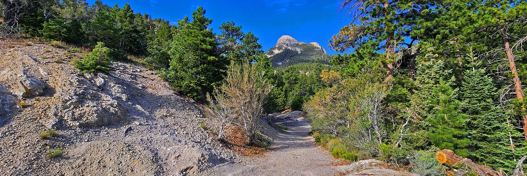 Cross the Road, Head Up Unmarked Forest Rd. 092A Toward Prominent Mummy's Nose Cliffs | Mummy Mountain’s Nose from Deer Creek Rd | Mt. Charleston Wilderness, Nevada