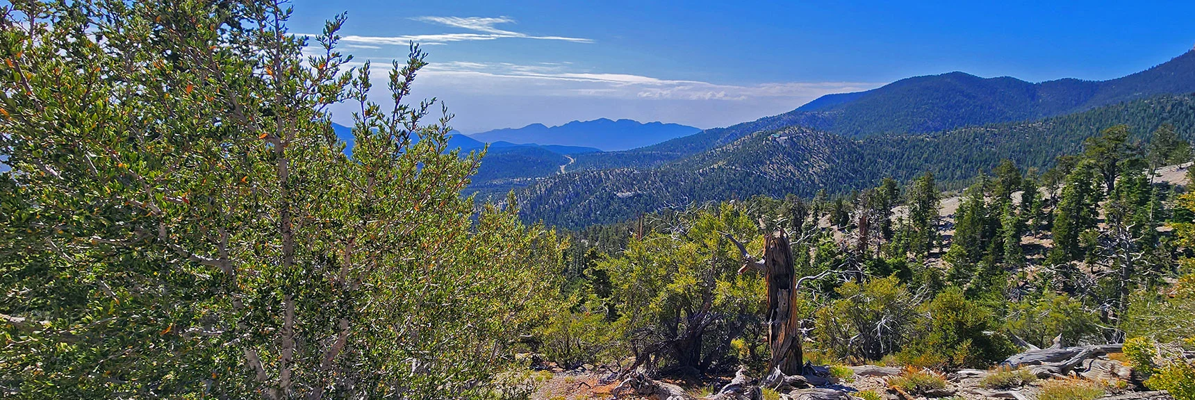 Cougar Ridge, North Loop Trail Ridge and Distant La Madre Mts. Now in View | Mummy Mountain’s Nose from Deer Creek Rd | Mt. Charleston Wilderness, Nevada