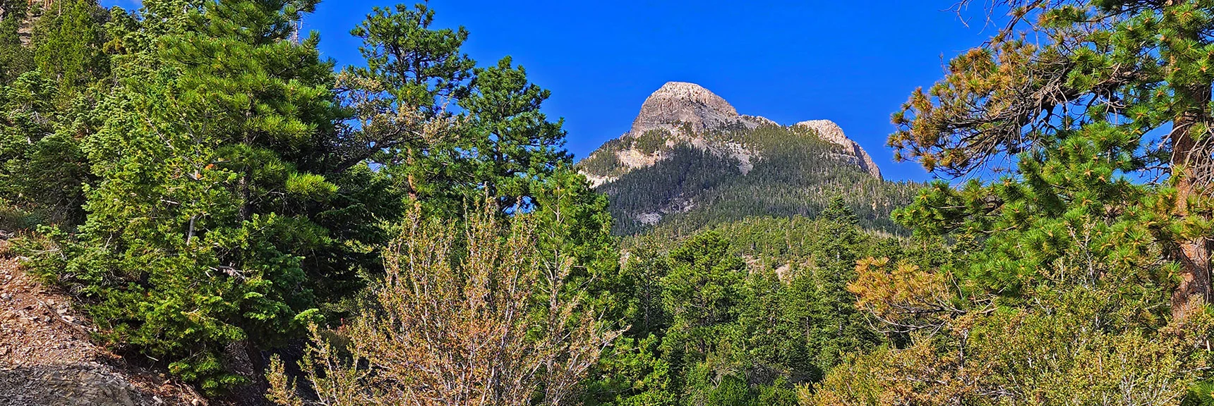 Mummy Mountain's Nose from Deer Creek Rd | Mt Charleston Wilderness, Nevada