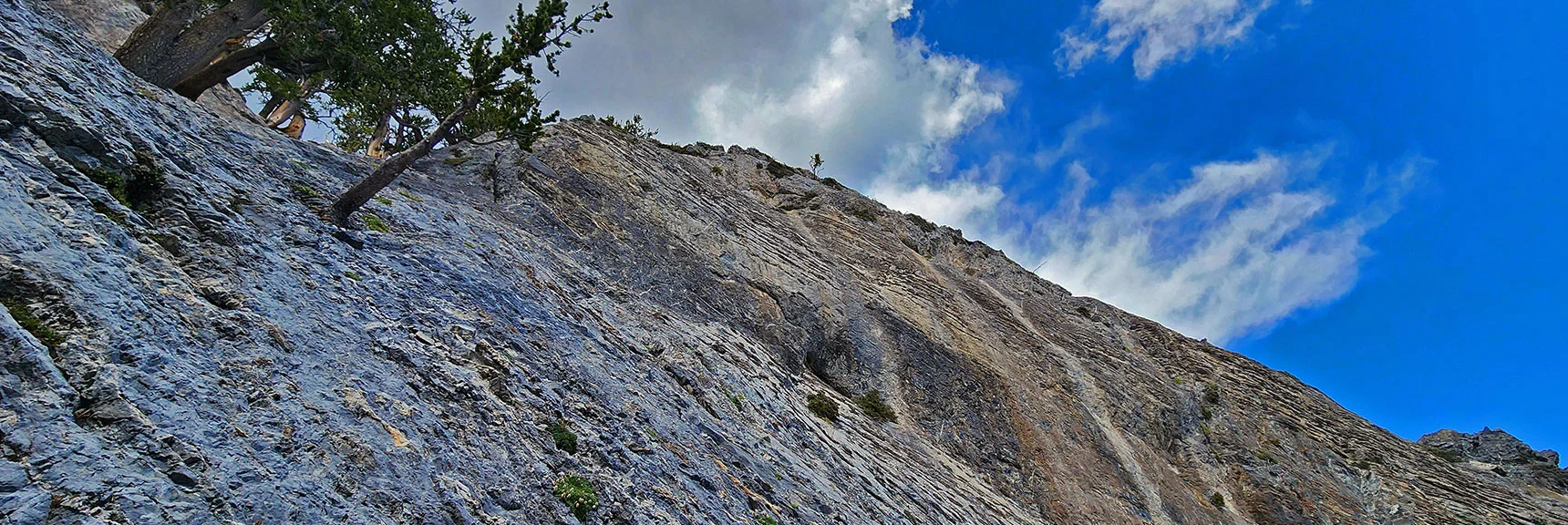 This is the Terrain on Either Side of the Gully | Mummy Mountain’s Nose from Deer Creek Rd | Mt. Charleston Wilderness, Nevada