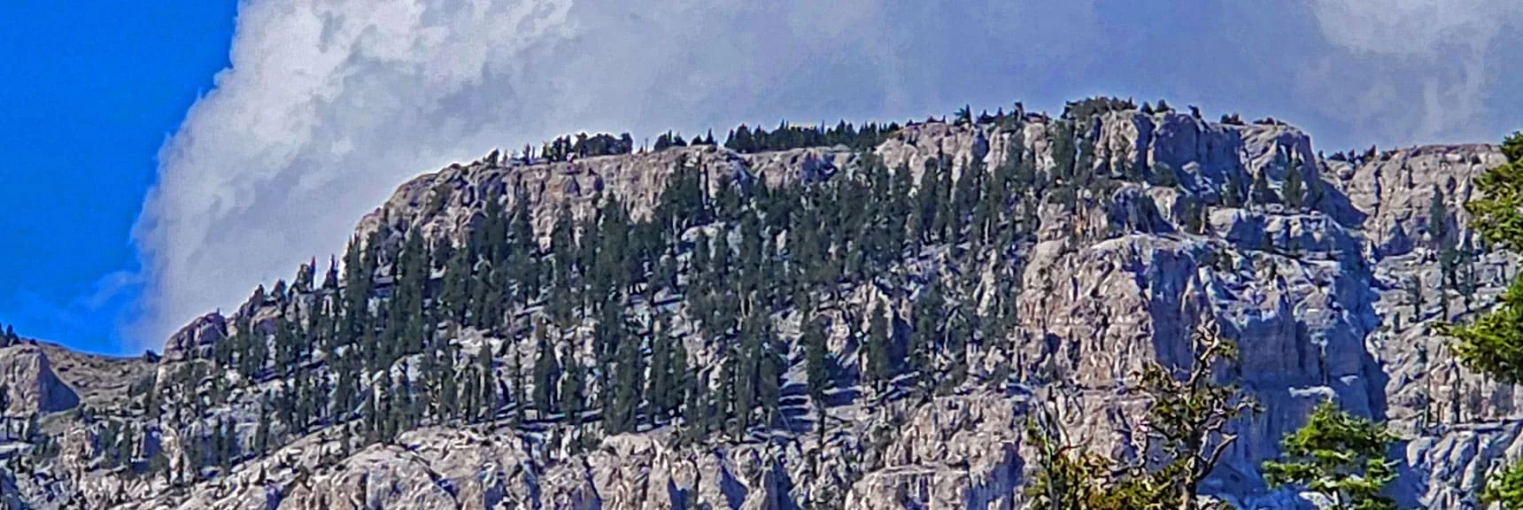 Enlarged View of Mummy's Summit Area. See How to Get There on LasVegasAreaTrails.com | Mummy Mountain’s Nose from Deer Creek Rd | Mt. Charleston Wilderness, Nevada