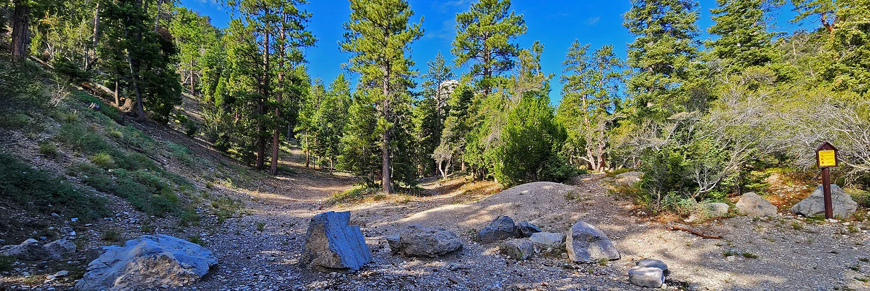 The Road Skirting the Base of the Ridge to Your Left Works for Both Nose and Forehead Destinations | Mummy Mountain’s Nose from Deer Creek Rd | Mt. Charleston Wilderness, Nevada