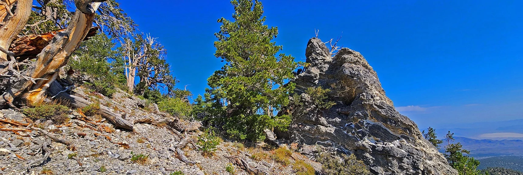 Round the Distinctive Limestone Pillar as You Head Toward Mummy's Nose. | Mummy Mountain’s Nose from Deer Creek Rd | Mt. Charleston Wilderness, Nevada