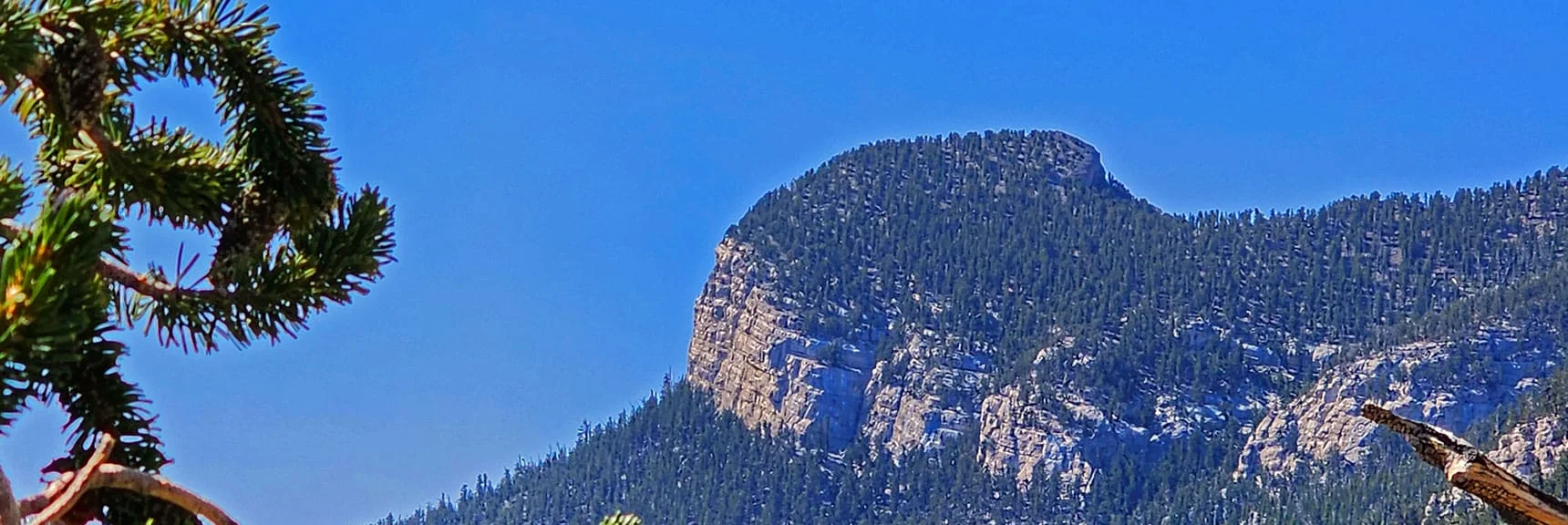Enlarged View of Mummy's Toe. That's an Awesome Destination! | Mummy Mountain’s Nose from Deer Creek Rd | Mt. Charleston Wilderness, Nevada