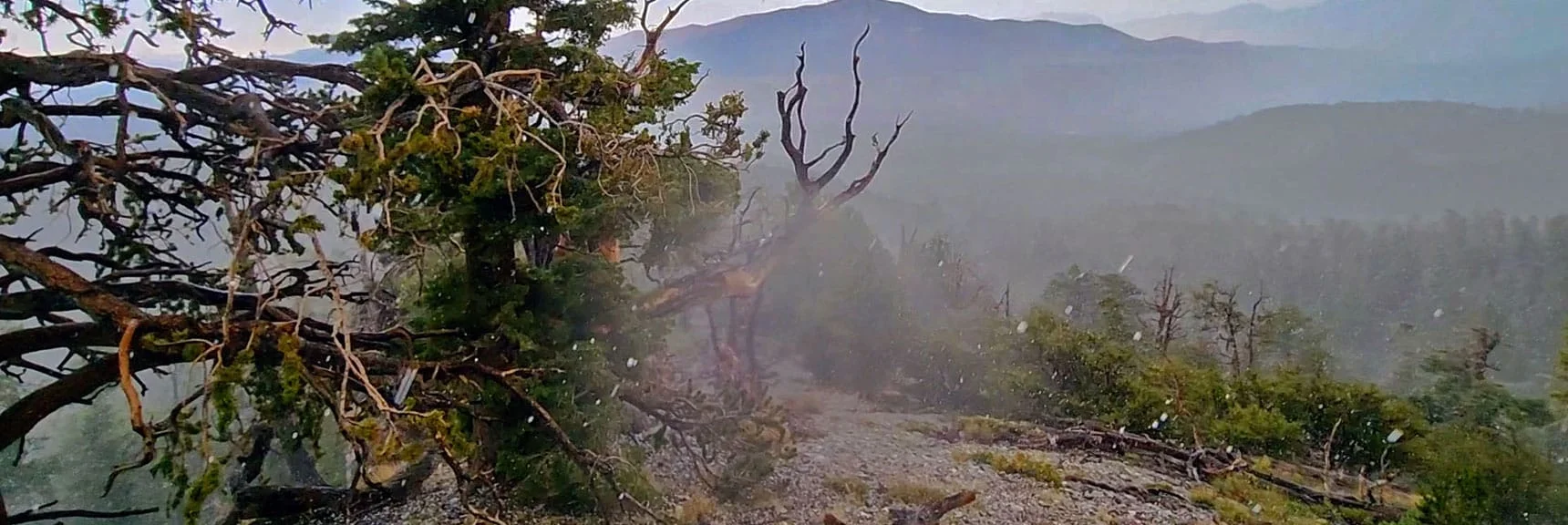 Resting Under a Tree or Rock Would Create Electrically Grounded Target. | Mummy Mountain’s Nose from Deer Creek Rd | Mt. Charleston Wilderness, Nevada
