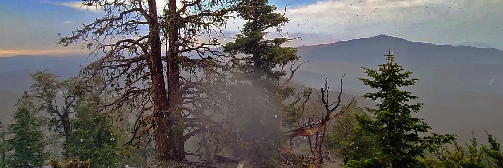 Thunderstorm Suddenly Hit! Rolling Thunder All Around. Keep Moving, Descending. | Mummy Mountain’s Nose from Deer Creek Rd | Mt. Charleston Wilderness, Nevada