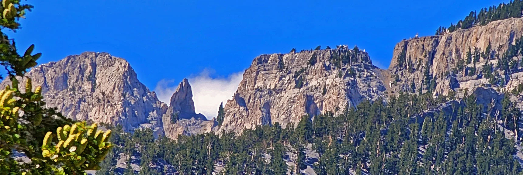 Enlarged View of Upper Cliffs Just East of Mummy's Summit | Mummy Mountain’s Nose from Deer Creek Rd | Mt. Charleston Wilderness, Nevada