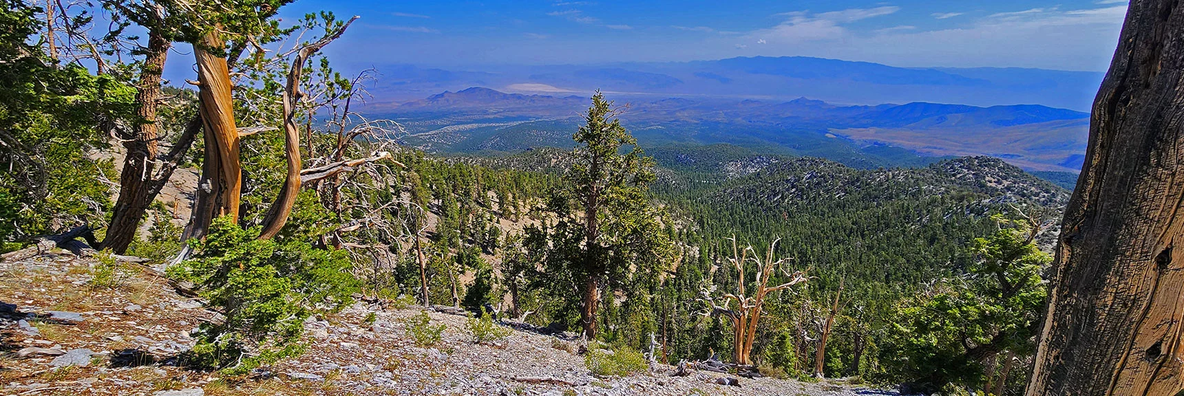 Continuing to Ascend the Ridge. View Back to the Sheep Range (Return Reference Point) | Mummy Mountain’s Nose from Deer Creek Rd | Mt. Charleston Wilderness, Nevada