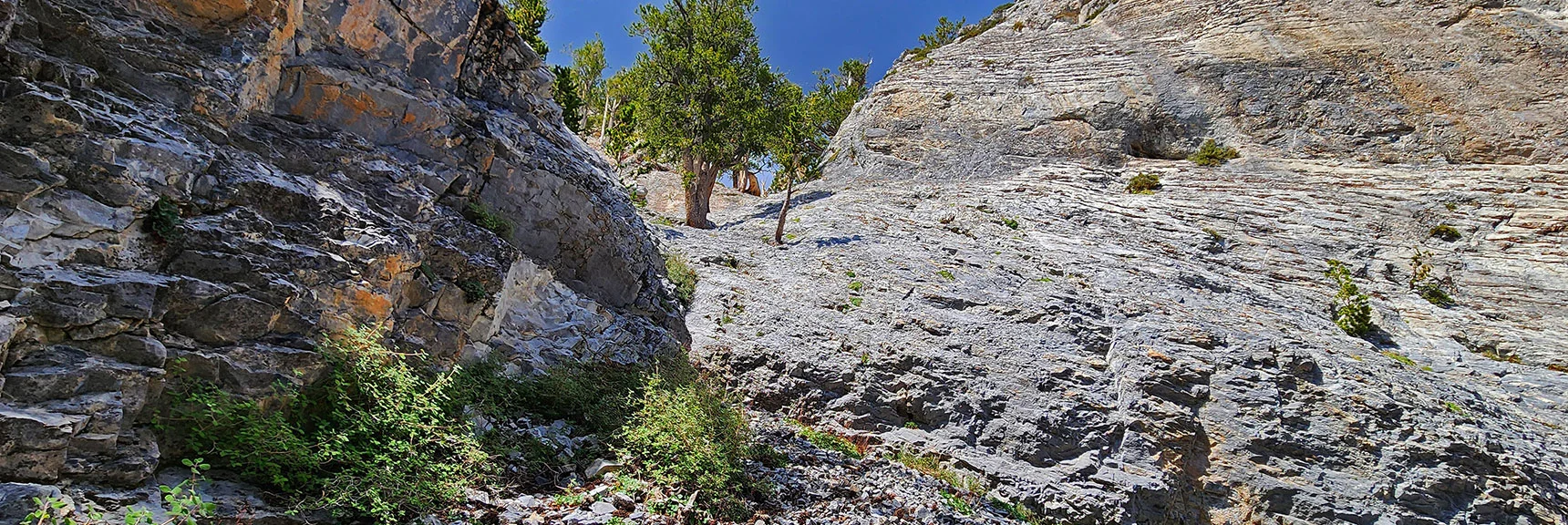 Turned Right at the Cliffs and Discovered This Potential Access Gully to the Summit! | Mummy Mountain’s Nose from Deer Creek Rd | Mt. Charleston Wilderness, Nevada