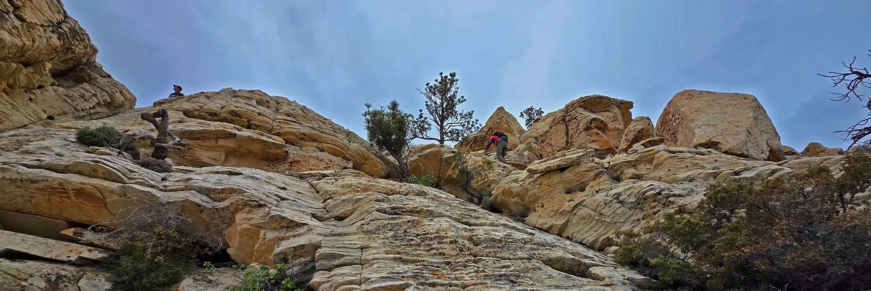 Final Ascent of Summit Mound. | Monument Peak Summit | Rainbow Mountain Wilderness, Nevada