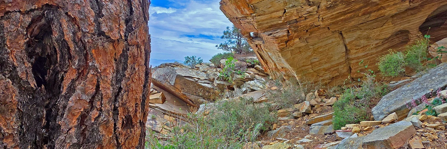 Round This Rock to Continue Past Slot Canyon Gully. | Monument Peak Summit | Rainbow Mountain Wilderness, Nevada