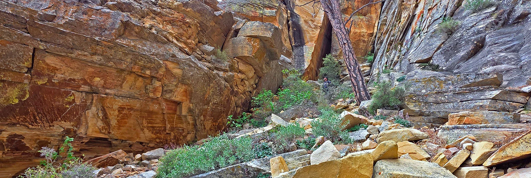 Turn Left to Next Gully Beyond This Slot Canyon Gully. | Monument Peak Summit | Rainbow Mountain Wilderness, Nevada