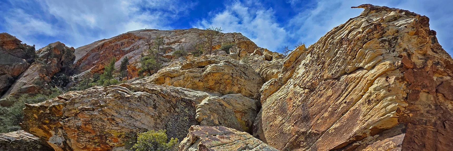 View Up Base Cliffs Toward Monument Peak. | Monument Peak Summit | Rainbow Mountain Wilderness, Nevada