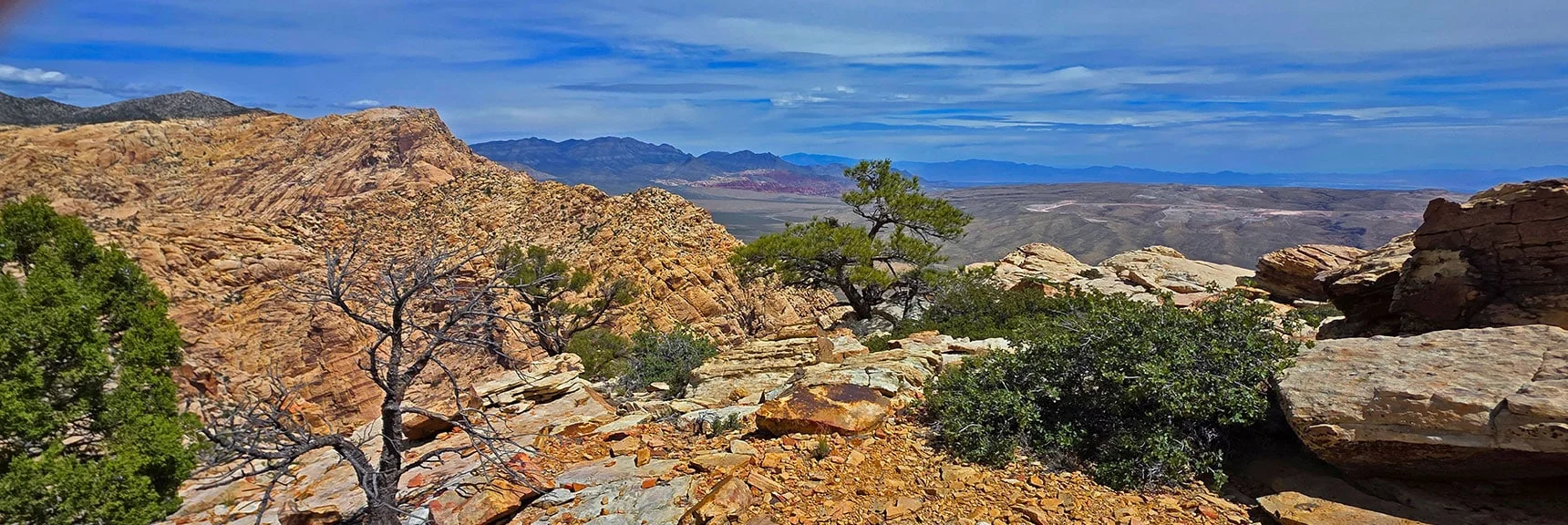 Blue Diamond Hill (R), Red Rock Canyon (Middle), Indecision Peak (L). | Monument Peak Summit | Rainbow Mountain Wilderness, Nevada