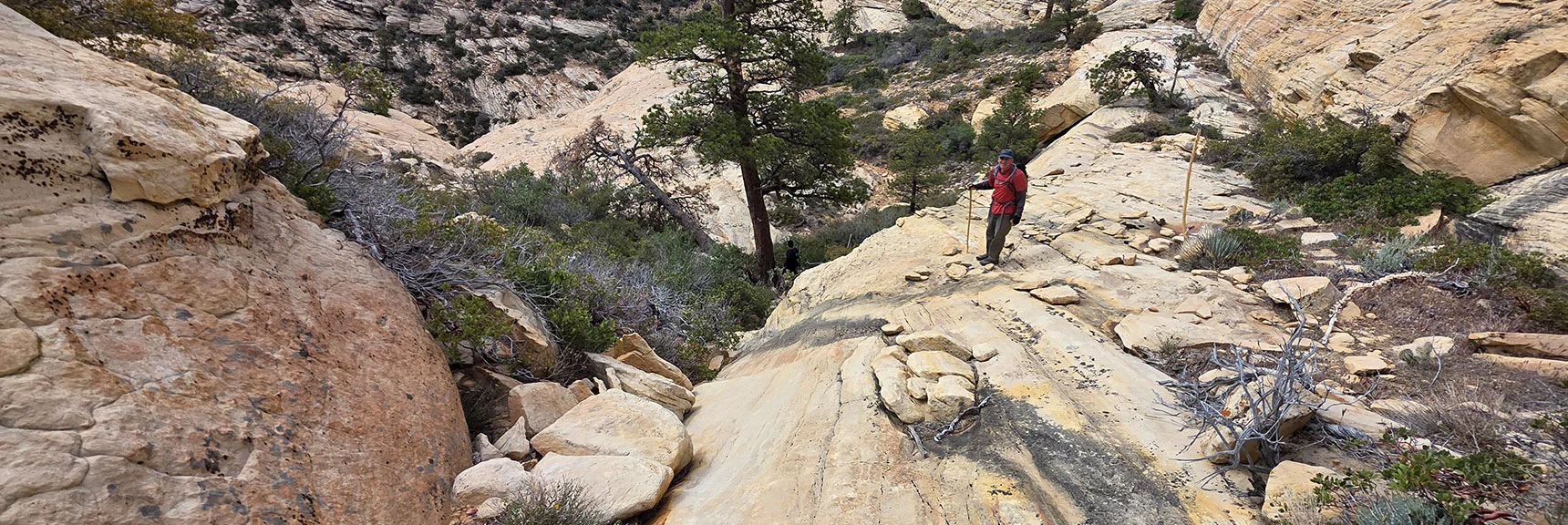 Follow a Gully Toward Second Descent Slope. | Monument Peak Summit | Rainbow Mountain Wilderness, Nevada