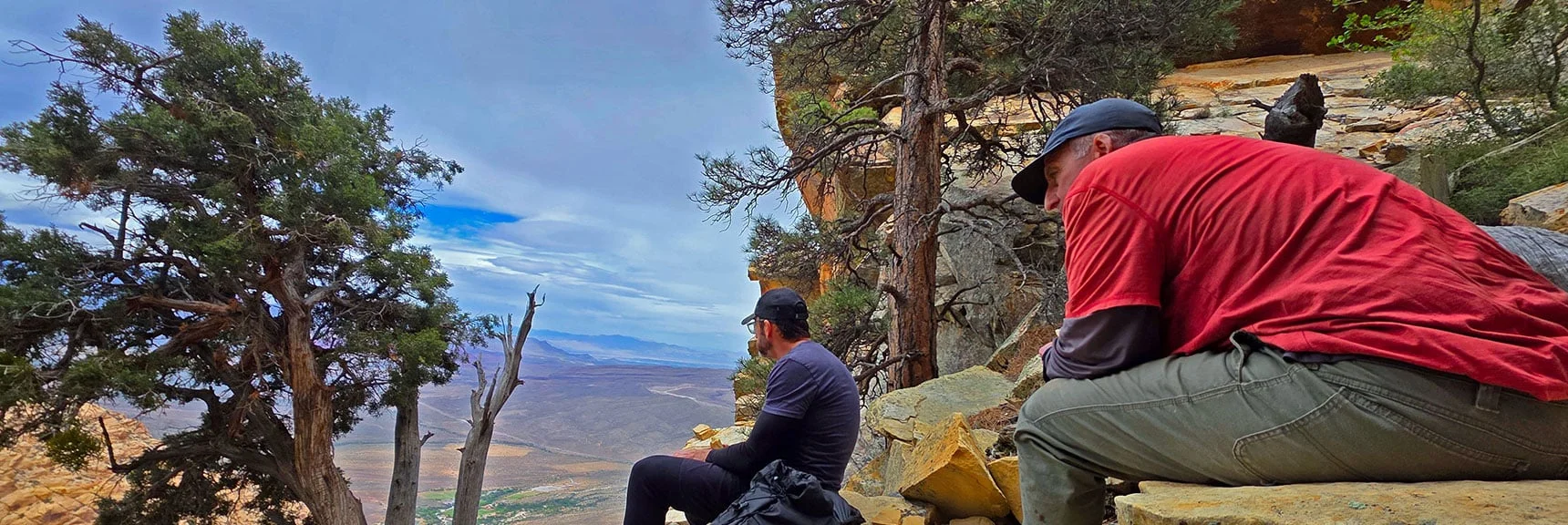 Rest, Enjoy View on Return. Beautiful Ponderosas Have Been Everywhere! | Monument Peak Summit | Rainbow Mountain Wilderness, Nevada