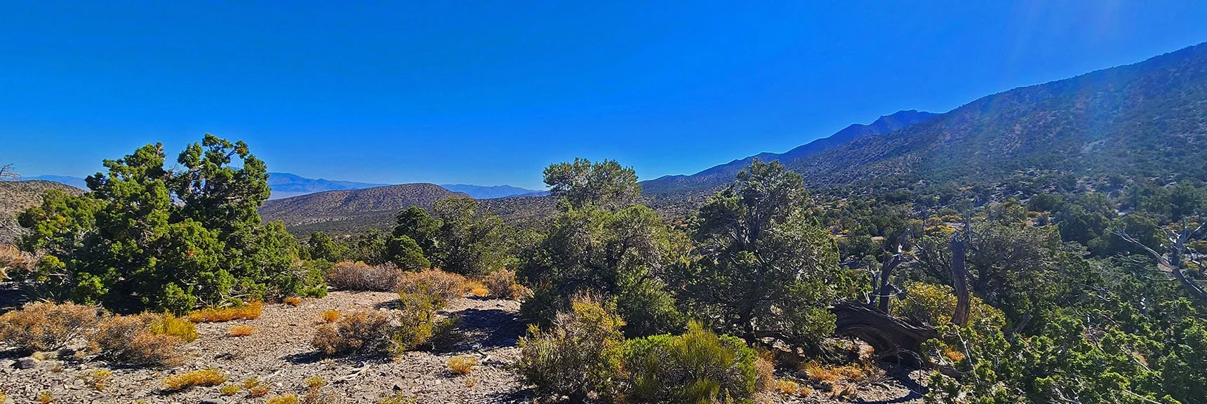 View Down Approach Ridge. La Madre Ridgeline Ascending on the Right. | La Madre Ridgeline Grand Crossing | La Madre Mountains Wilderness and Red Rock Canyon NCA, Nevada