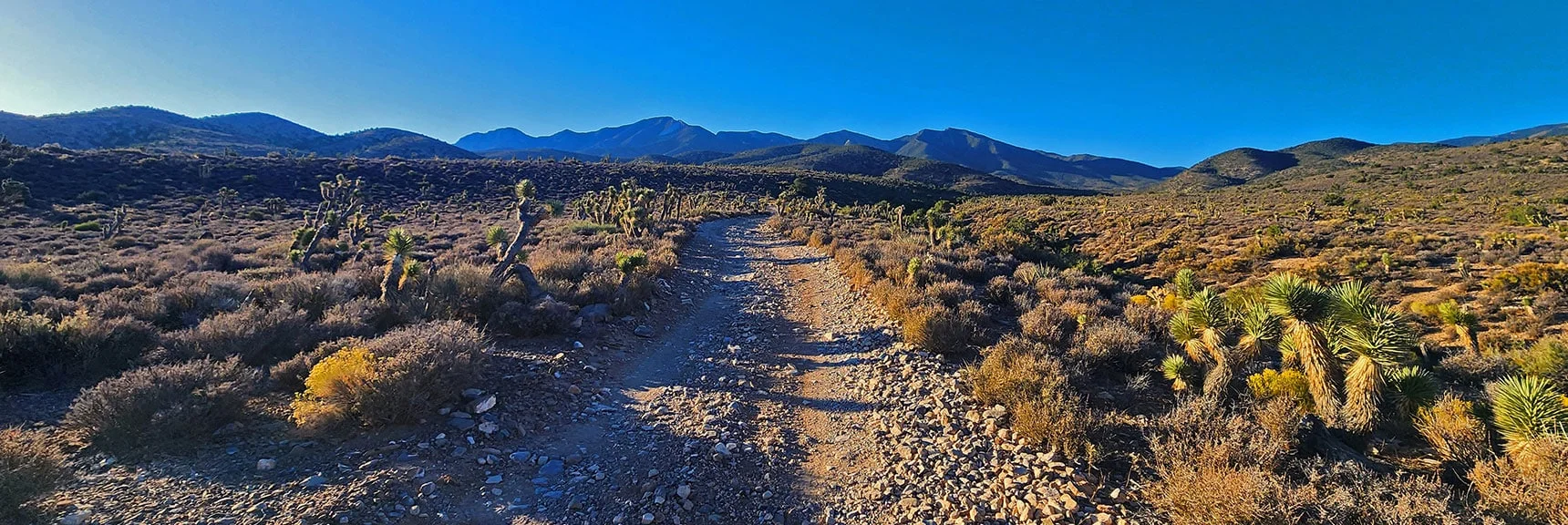 La Madre Ridgeline from Lower 4WD Wilderness Approach Road | La Madre Ridgeline Grand Crossing | La Madre Mountains Wilderness and Red Rock Canyon NCA, Nevada