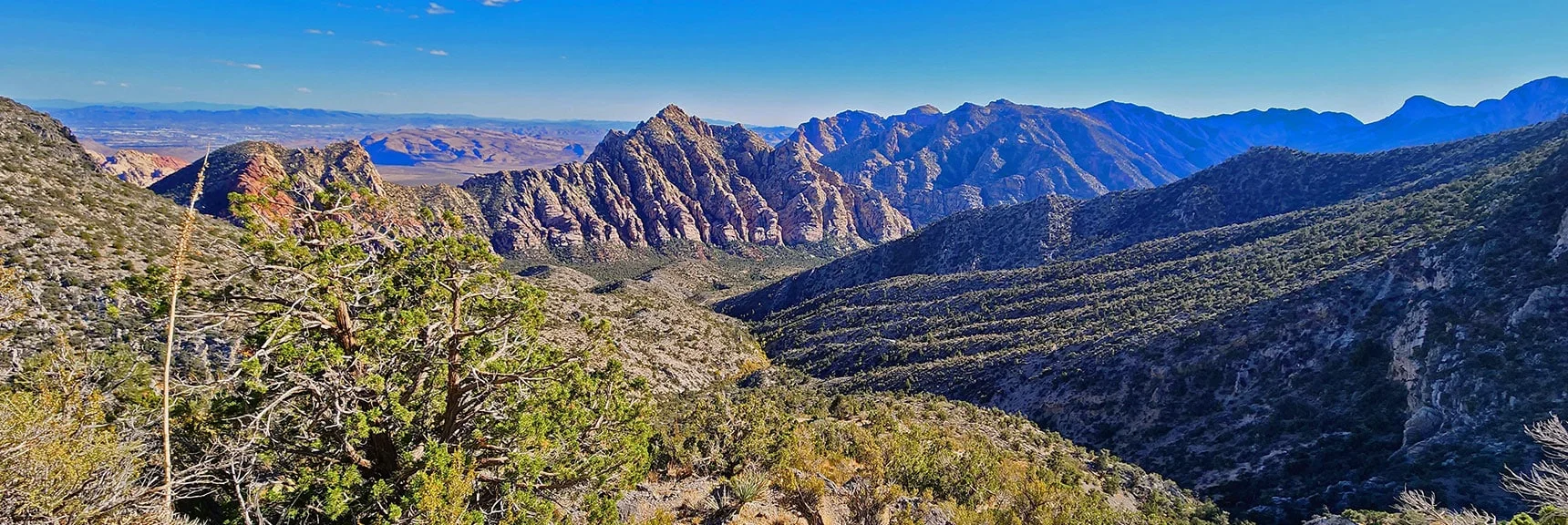View Down Descent Path To La Madre Springs Gulch and White Rock Mt. | La Madre Ridgeline Grand Crossing | La Madre Mountains Wilderness and Red Rock Canyon NCA, Nevada