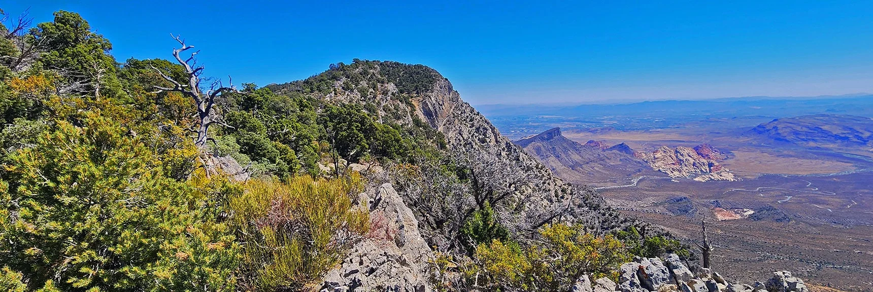 Arrival on La Madre Ridgeline! View to El Bastardo. Turtlehead Peak Below. | La Madre Ridgeline Grand Crossing | La Madre Mountains Wilderness and Red Rock Canyon NCA, Nevada
