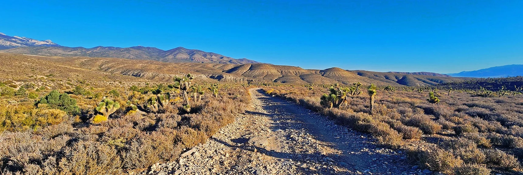 View Down La Madre Wilderness 4WD Approach Road | La Madre Ridgeline Grand Crossing | La Madre Mountains Wilderness and Red Rock Canyon NCA, Nevada