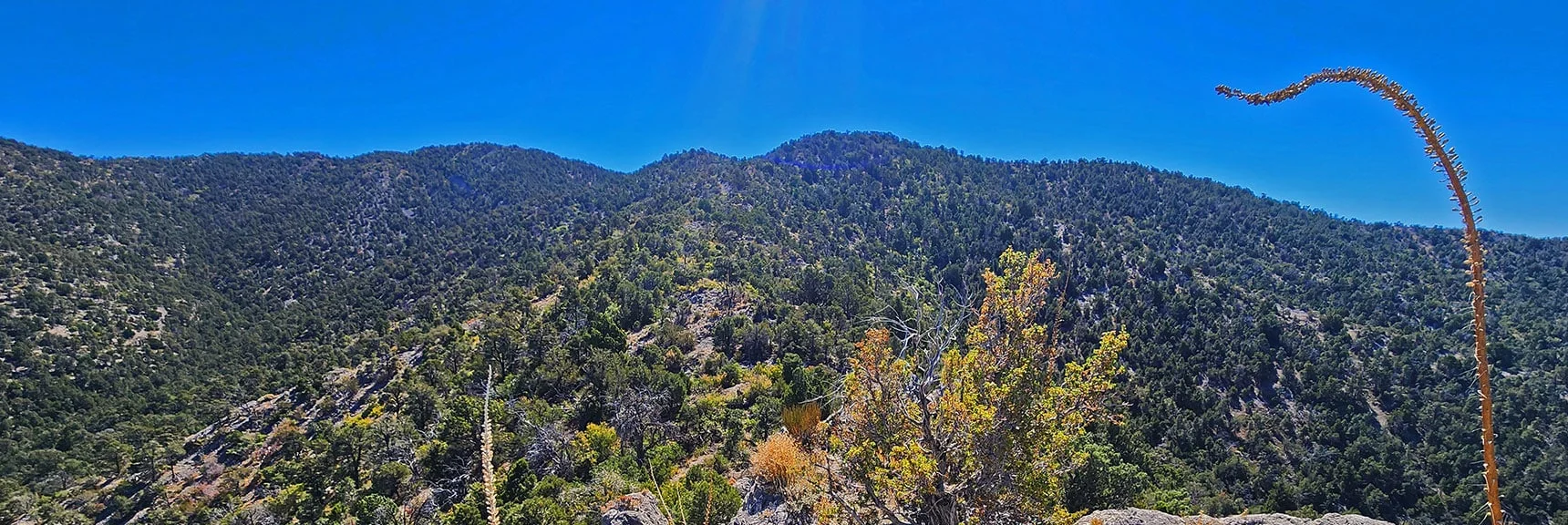 Closing in on the La Madre Ridgeline Summit Area Ahead | La Madre Ridgeline Grand Crossing | La Madre Mountains Wilderness and Red Rock Canyon NCA, Nevada