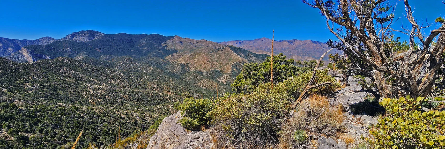Wilson Ridge S. High Point is at Burn Area Division on Horizon. | La Madre Ridgeline Grand Crossing | La Madre Mountains Wilderness and Red Rock Canyon NCA, Nevada