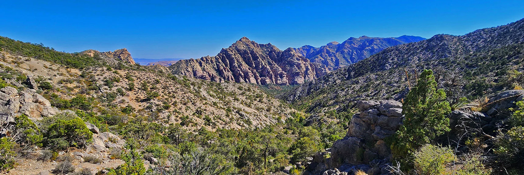 View Down Descent Path To La Madre Springs Gulch and White Rock Mt. | La Madre Ridgeline Grand Crossing | La Madre Mountains Wilderness and Red Rock Canyon NCA, Nevada