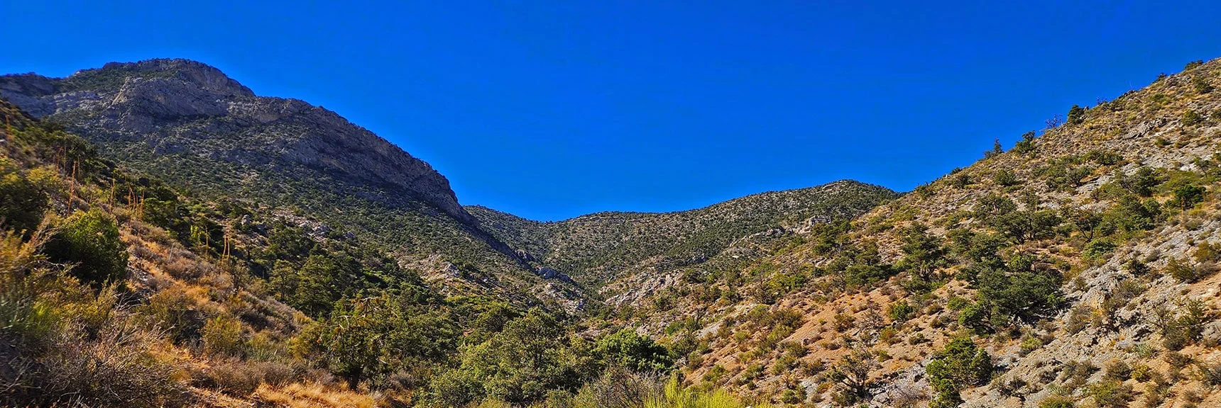 View Back To La Madre Ridgeline Low Saddle Descent Point. | La Madre Ridgeline Grand Crossing | La Madre Mountains Wilderness and Red Rock Canyon NCA, Nevada