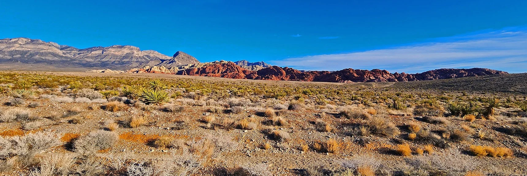 Calico Hills Across Red Rock Canyon, While Descending Grand Circle Loop Trail. | La Madre Ridgeline Grand Crossing | La Madre Mountains Wilderness and Red Rock Canyon NCA, Nevada