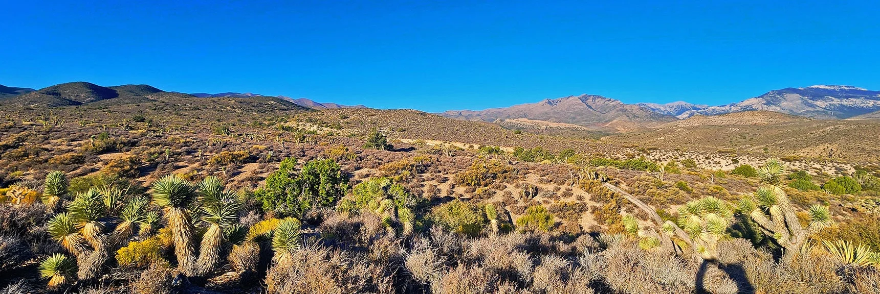 Harris, Charleston, Fletcher & Mummy Peaks to Right in Charleston Wilderness | La Madre Ridgeline Grand Crossing | La Madre Mountains Wilderness and Red Rock Canyon NCA, Nevada