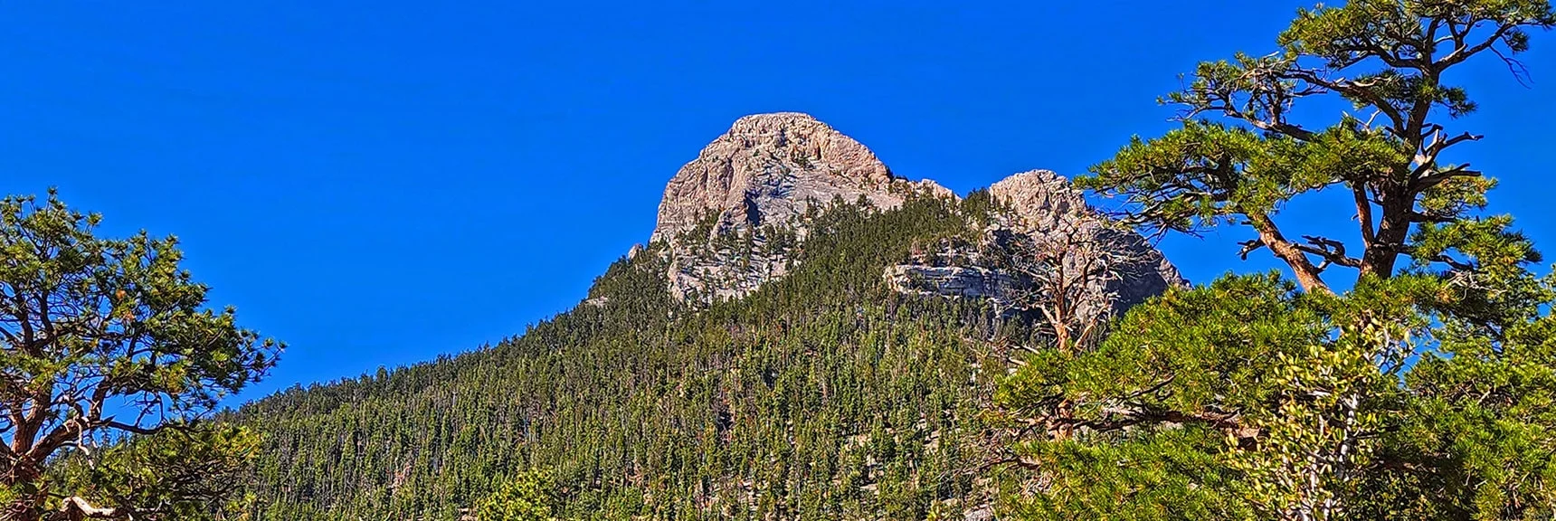 Summit of Gully, Now on Western Ridgeline. Mummy's Nose Again in View. | Mummy’s Nose North Alpine Loop | Mt Charleston Wilderness, Nevada