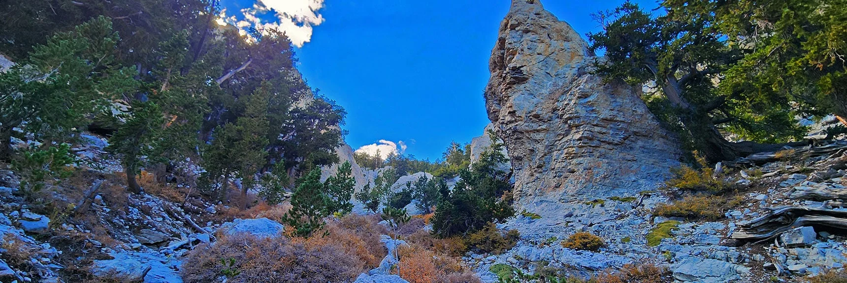 Majestic Limestone Pillar a Way Above Barrier Dry Fall | Mummy Mountain Forehead Summit Approach Gully | Mt Charleston Wilderness, Nevada