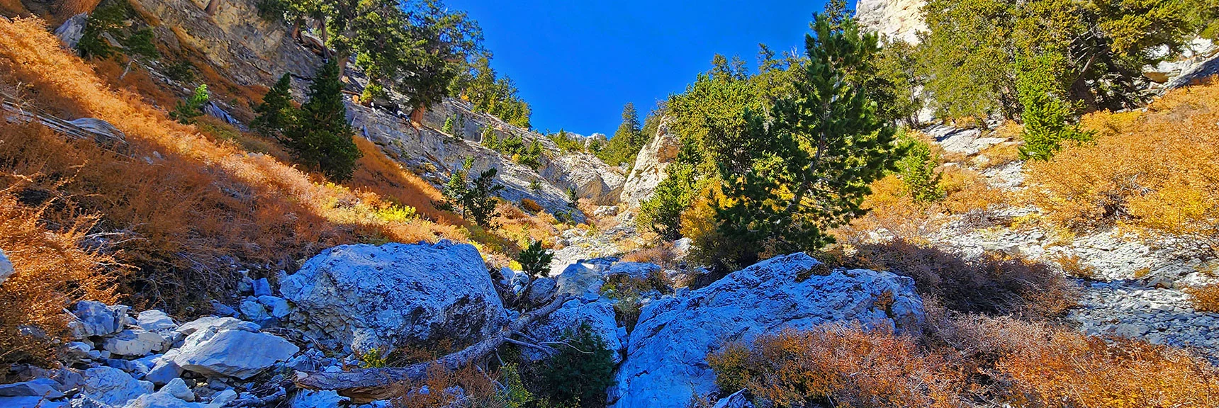 Continue Upward. Favor the Channel to the Right. | Mummy Mountain Forehead Summit Approach Gully | Mt Charleston Wilderness, Nevada