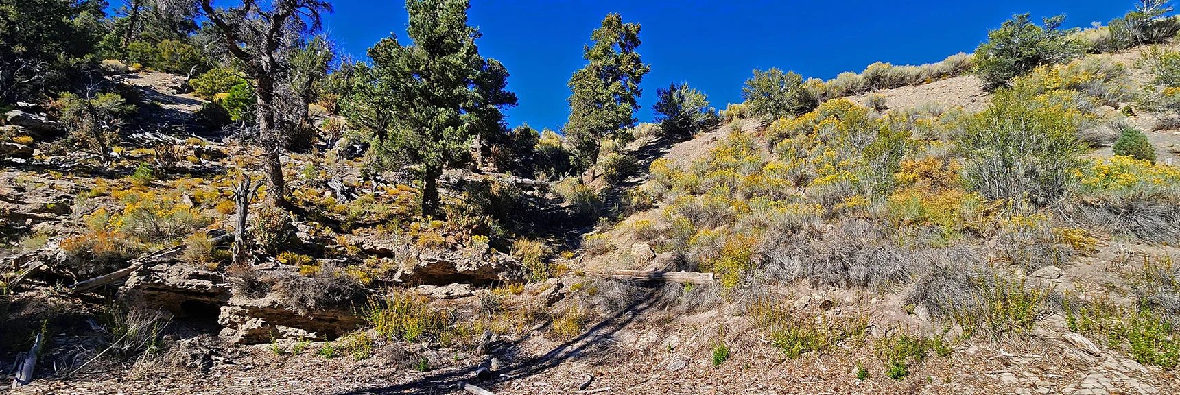 Deer Creek Road Runs Along the Ridge Above the Lakebed. | Mummy Mountain Forehead Summit Approach Gully | Mt Charleston Wilderness, Nevada