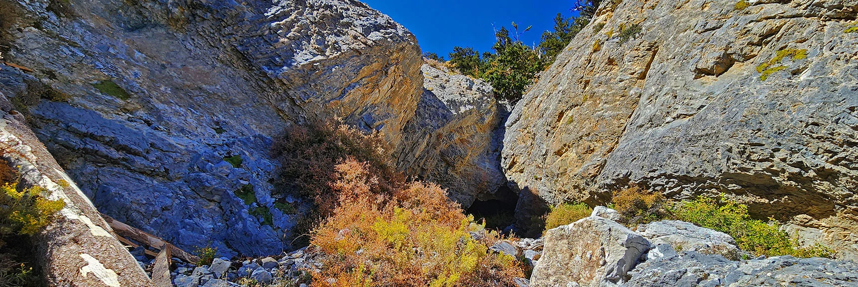 Mid-Gully Barrier Dry Fall At About 9,700ft | Mummy Mountain Forehead Summit Approach Gully | Mt Charleston Wilderness, Nevada
